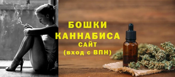 крисы Верея