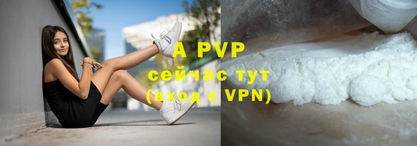 крисы Верея