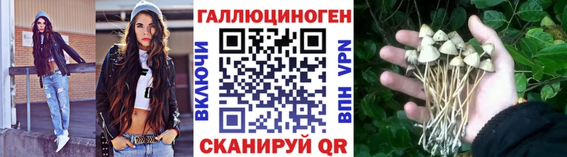 Галлюциногенные грибы Psilocybe  Купить где  Курчатов 